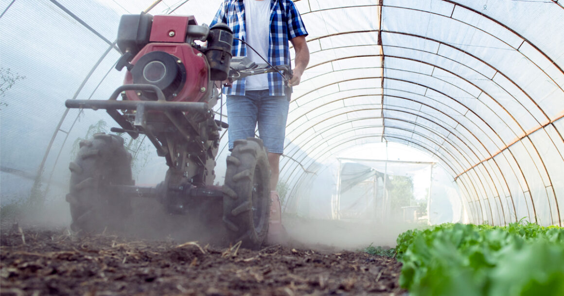 Decreto Legge Agricoltura: nuove agevolazioni per il settore primario Decreto Legge Agricoltura: nuove agevolazioni per il settore primario